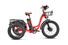 EMMO Trobic Pro CARGO ELECTRIC TRICYCLES