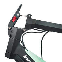 Kaabo Urban Electric Scooter 25 mph 500W