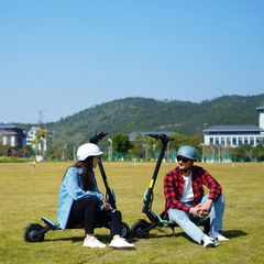 Kaabo Urban Electric Scooter 25 mph 500W