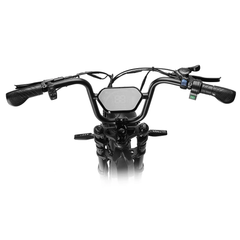 Happyrun Tank G60 Pro 2000W 48V 25A Moped Style Offroad Electric Bike Fat Tire