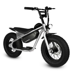 Strike Cycles Big Boy 750W Heavy-Duty All-Terrain Fat Tire Electric Balance Bicycle