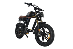 GoatPowerBikes The Motor Goat V3 2000W 60V 25Ah Electric Bike