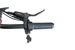 GoatPowerBikes The Mini Goat 72V 5,300W Peak Electric Bike