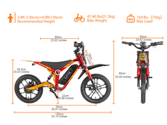 Tuttio ARC-I 36V 750W Electric Balance Bike for Kids