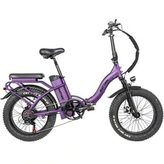 Rattan LF 750W Step Through Foldable Fat Tire Ebike