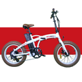 Civi Bikes Rebel 1.0 48V 500W Electric Bikes