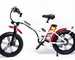 Greenbike Electric Motion Big Dog Off-Road Fat Tire Electric Bike