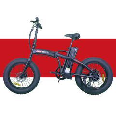 Civi Bikes Rebel 1.0 48V 500W Electric Bikes