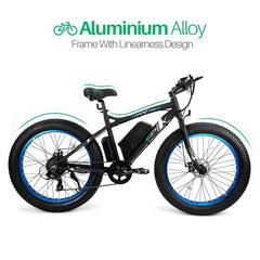 Ecotric 36V 500W Fat Tire Beach Snow Electric Bike