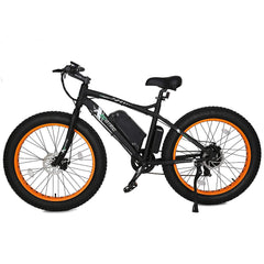 Ecotric 36V 500W Fat Tire Beach Snow Electric Bike