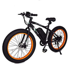 Ecotric 36V 500W Fat Tire Beach Snow Electric Bike