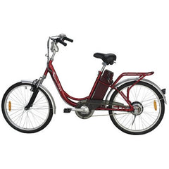 Yukon Trail Navigator 24" Lead Acid Electric Bike