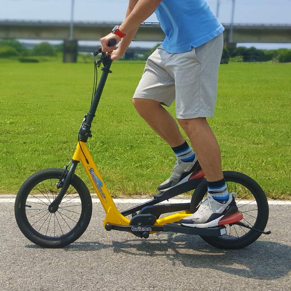 Brizon Wingflyer-16 Single Speed Stepper Bike