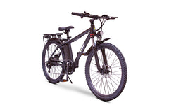 EWheels EW-Rugged 36V Electric Mountain Bike