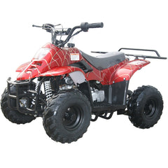 Coolster 3050C 110cc Off Road Four Wheeler Gas ATV