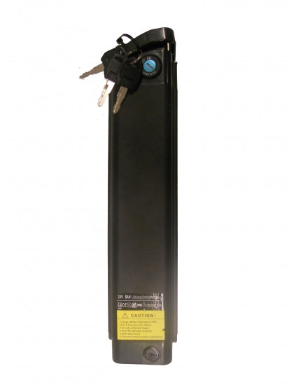 Complete LiPo4 24V Lithium Battery Pack