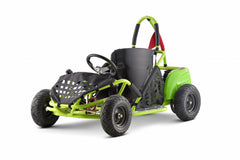 GoBowen Baja 1000W 48V Electric Go Kart