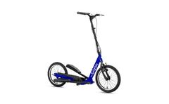 Brizon Wingflyer-16 Single Speed Stepper Bike