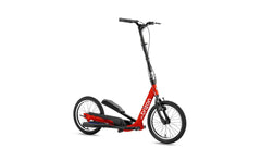 Brizon Wingflyer-16 Single Speed Stepper Bike