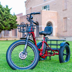 Emojo Caddy Pro Electric Trike