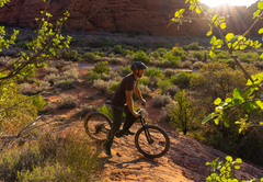 Bakcou Carbon Alpha 500W Electric Mountain Bike