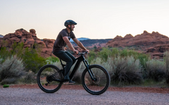 Bakcou Carbon Alpha 500W Electric Mountain Bike