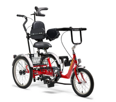 Tri-Rider Margay Adaptive Trike