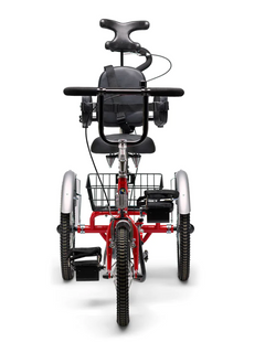 Tri-Rider Margay Adaptive Trike