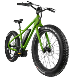 Rambo 500w Cruiser Fat Tire Electric Bike