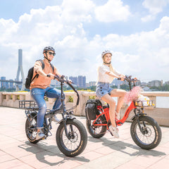 Rattan LF 750W Step Through Foldable Fat Tire Ebike