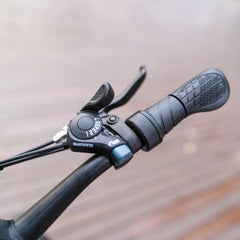 Rattan Challenger 2022 Mountain Ebike