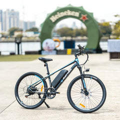 Rattan Compass 500W Mountain Ebike