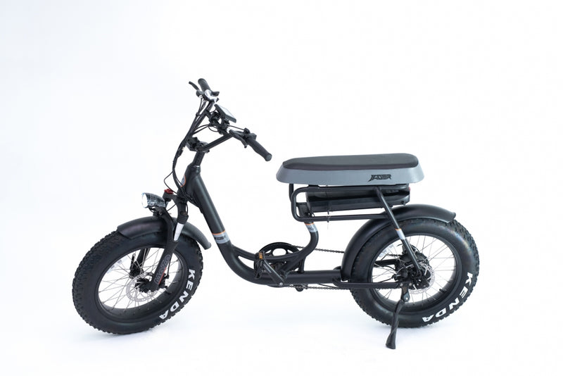 Greenbike Electric Motion Mule 48V 500W 2 Seater Electric Fat Tire Bike