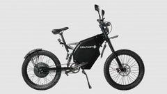 Delfast Top 3.0 Electric Bike - [ON SALE]