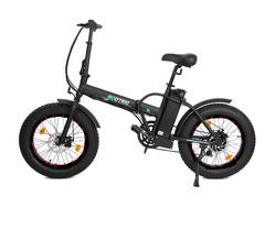 Ecotric 48V13AH 500W 20" Folding Fat Tire Electric Bike