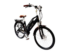 E-Joe GADIS Step Through Electric Cruiser Bike