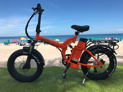 Greenbike USA GB750 48V Fat Tire Folding Electric Bike