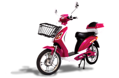 American Electric SuperFly 600W SLA Electric Scooter Moped Bike