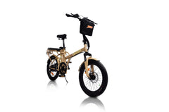 GreenBike Electric Motion Jager Dune 350W 36V Electric Bike