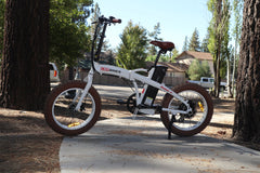 Civi Bikes Rebel 1.0 48V 500W Electric Bikes