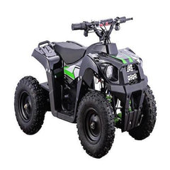 Go-Bowen Monster 36V12AH Kids 500w Electric ATV