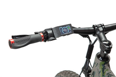 Bakcou Flatlander 750W Electric Bike