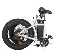 Ecotric Dolphin UL-Certified Step Through Fat Tire Electric Bike