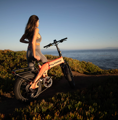 Yamee XL 750W Folding Electric Bike [Pre-order]