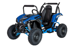 Go Bowen PFW U1000 48V Electric UTV