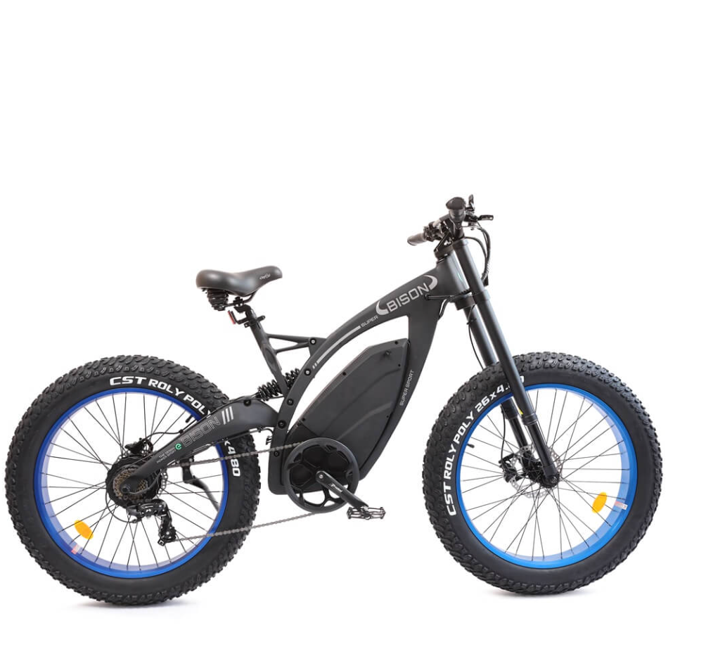 Ecotric Bison 1000W Fat Tire Electric Bike