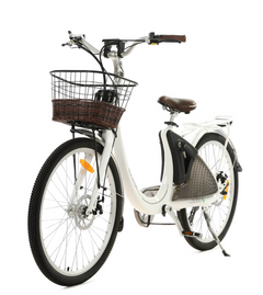 Ecotric Lark Electric City Bike