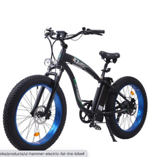 Ecotric 48V 750W UL-Certified Hammer Fat Tire  Electric Bike