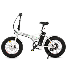 Ecotric 36V 500W UL-Certified 20" Fat Tire Folding Electric Bike