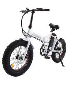 Ecotric 36V 500W UL-Certified 20" Fat Tire Folding Electric Bike